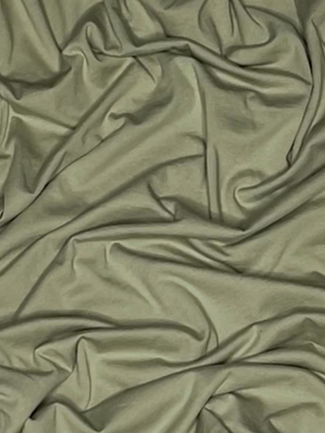 EUCALYPTUS || COMFORT